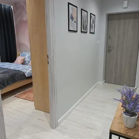 Apartment Dolores Rzeszow